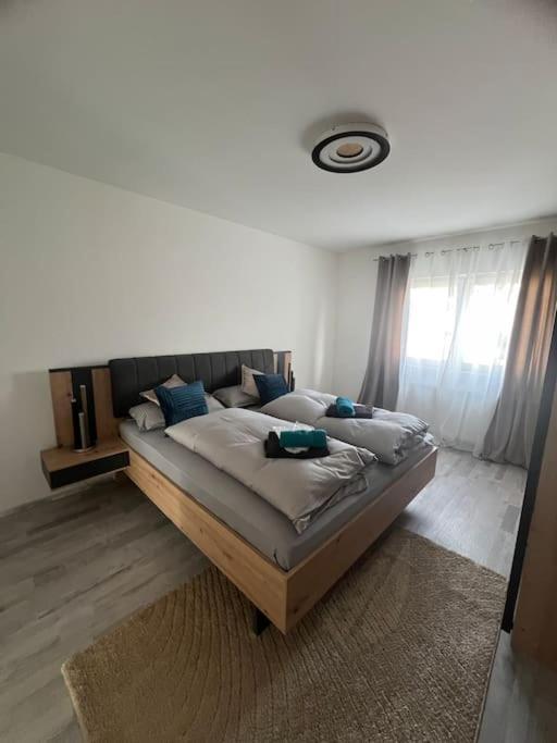 Und Stadt, Neben Mannheim, Heidelberg, Worms * Lampertheim